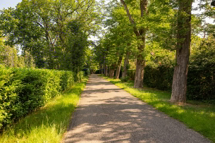 Foto 6 van Oranje Nassaulaan 2