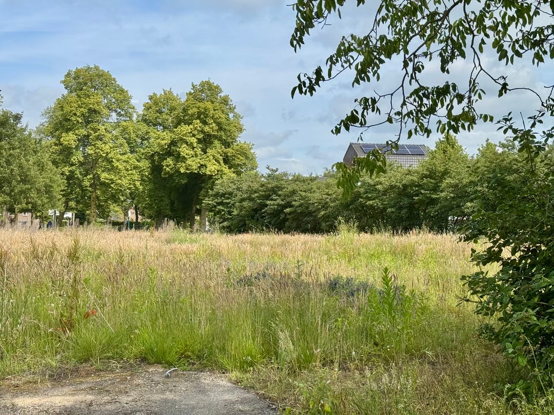 Foto 2 van Verwestraat