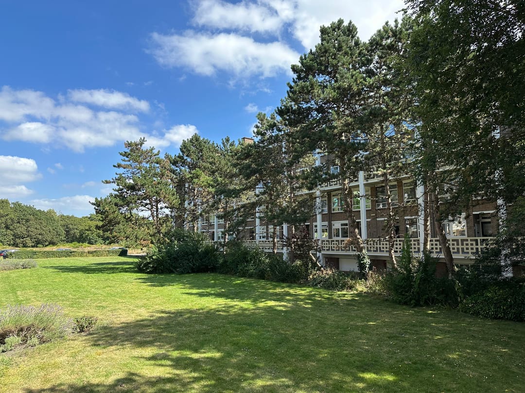 Foto 31 van De Savornin Lohmanlaan 59