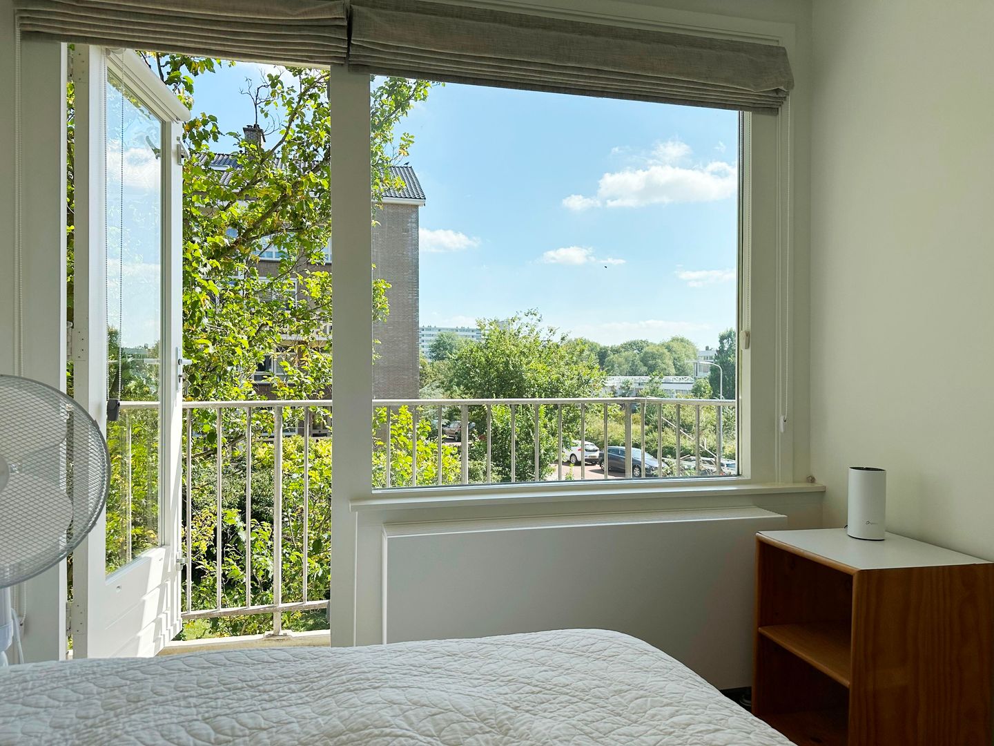 Foto 25 van De Savornin Lohmanlaan 59