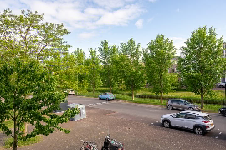 Photo 26 of Poseidonsingel 73