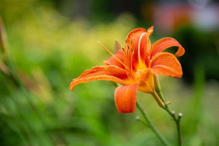 Foto 50 van Marhulzenweg 7