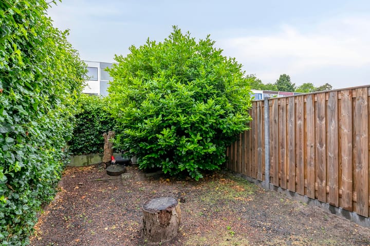 Foto 24 van Moggendries 34