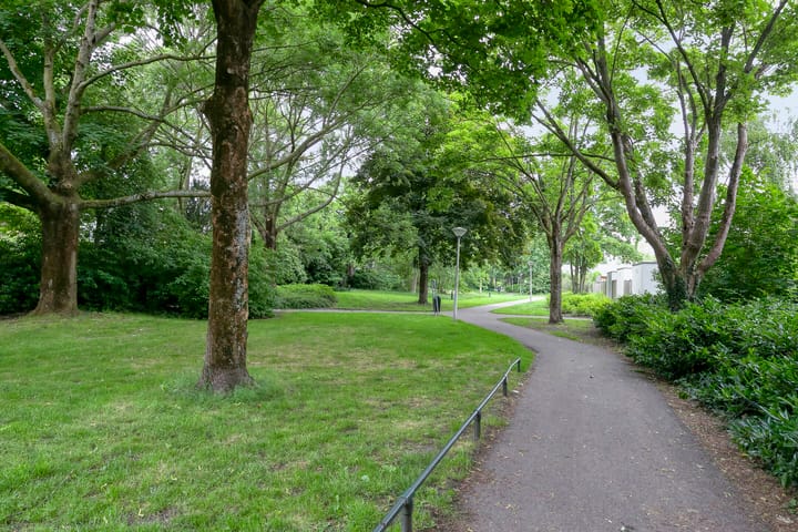 Foto 31 van Moggendries 34