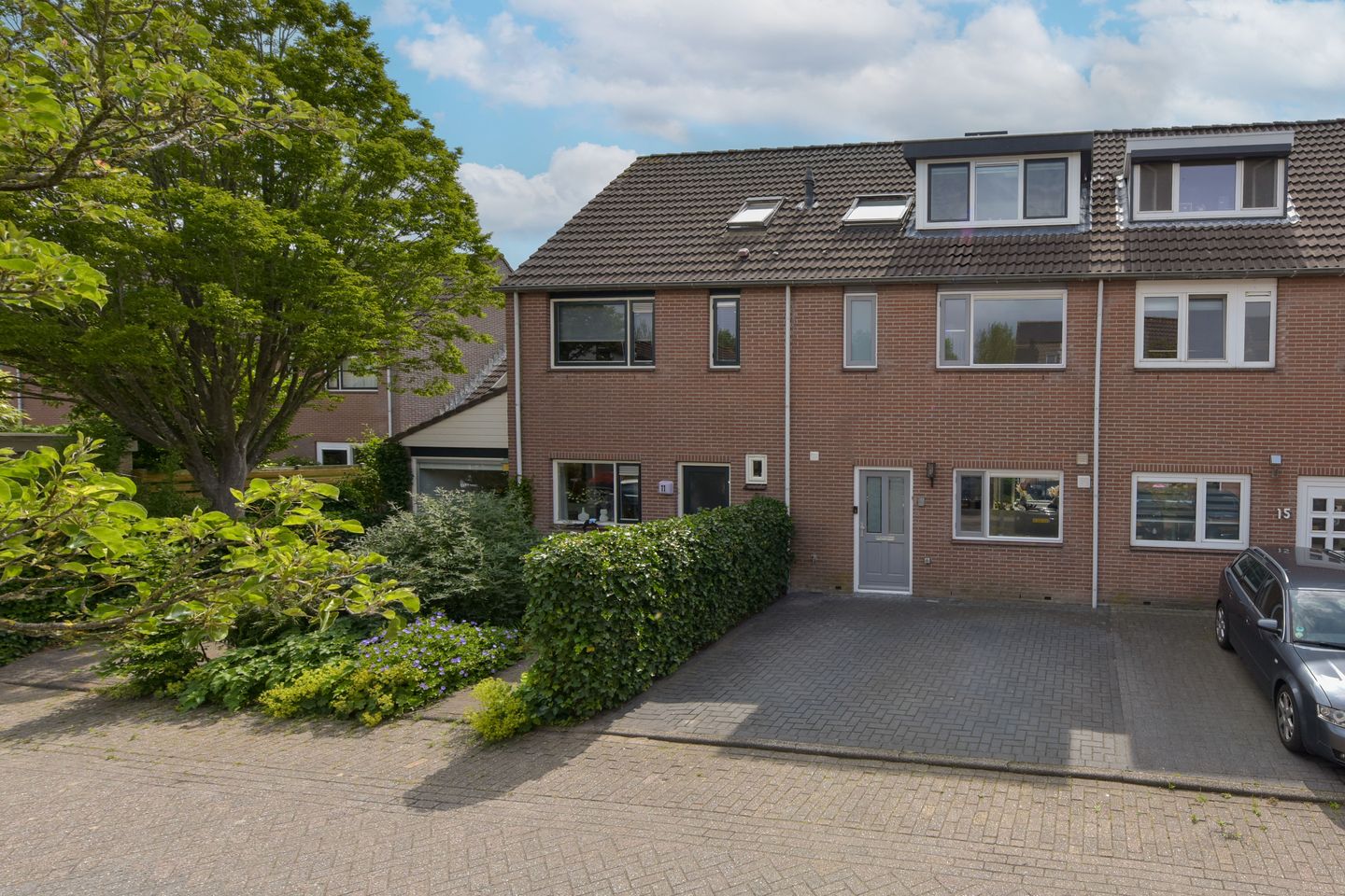 Foto 1 van Houtduif 13