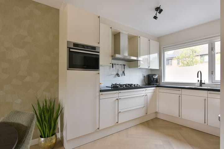 Foto 3 van Houtduif 13