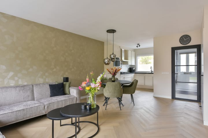 Foto 5 van Houtduif 13