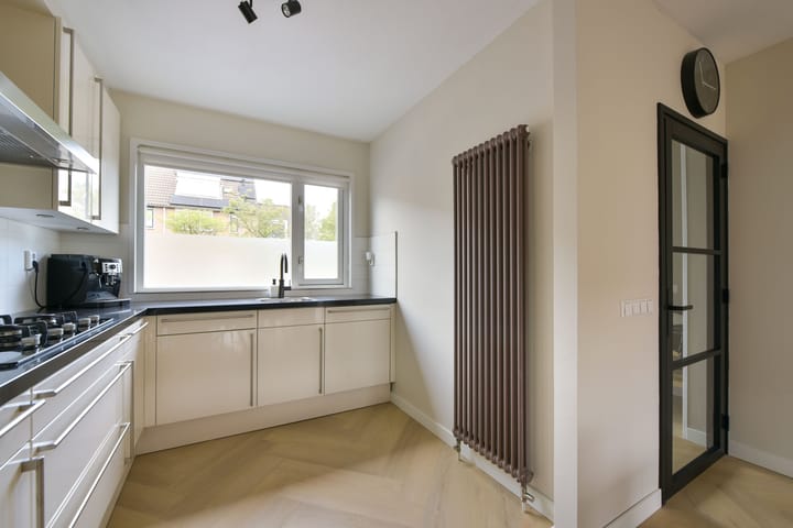 Foto 10 van Houtduif 13