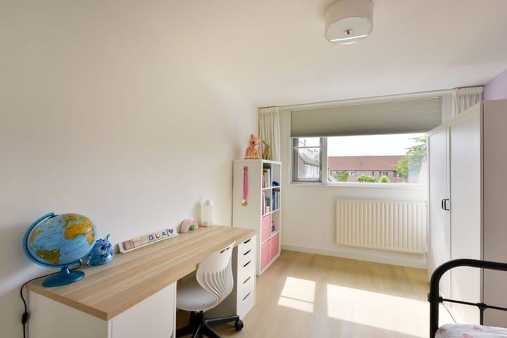 Foto 12 van Houtduif 13