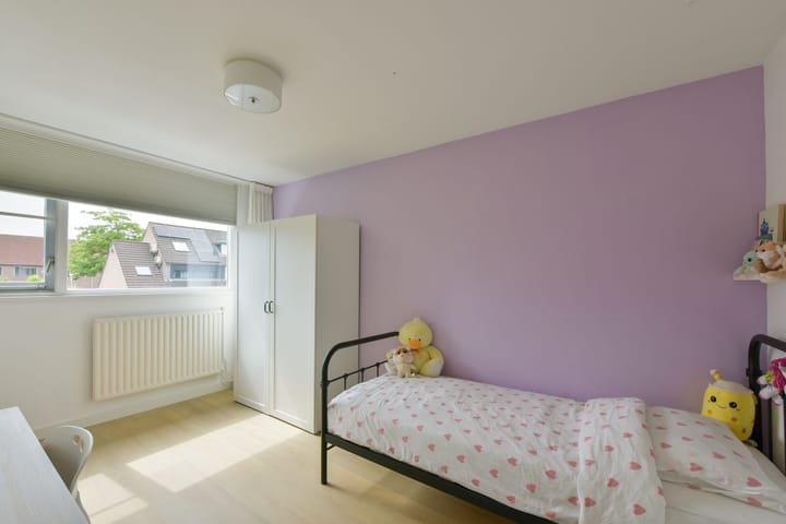 Foto 14 van Houtduif 13