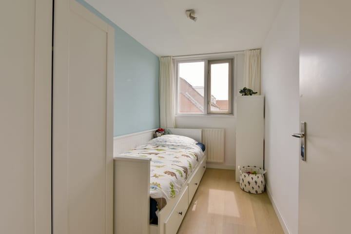 Foto 15 van Houtduif 13