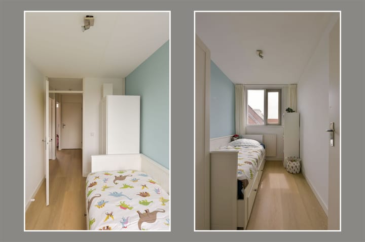 Foto 16 van Houtduif 13