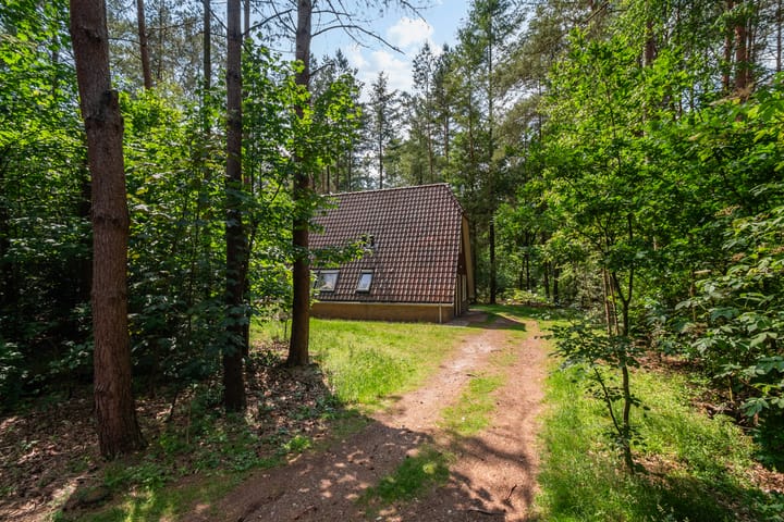 Foto 3 van Stakenberg 75-55