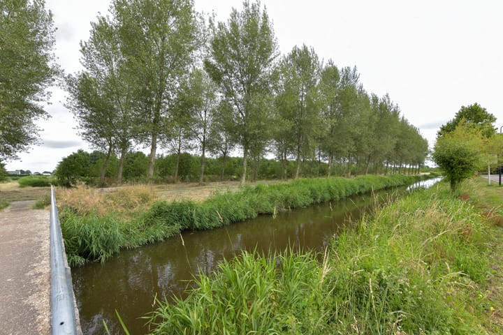 Foto 30 van Houtduif 13