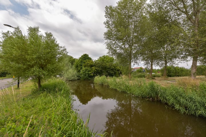 Foto 31 van Houtduif 13