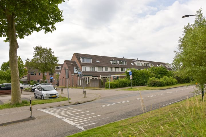 Foto 32 van Houtduif 13