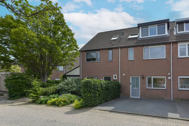 Foto 33 van Houtduif 13