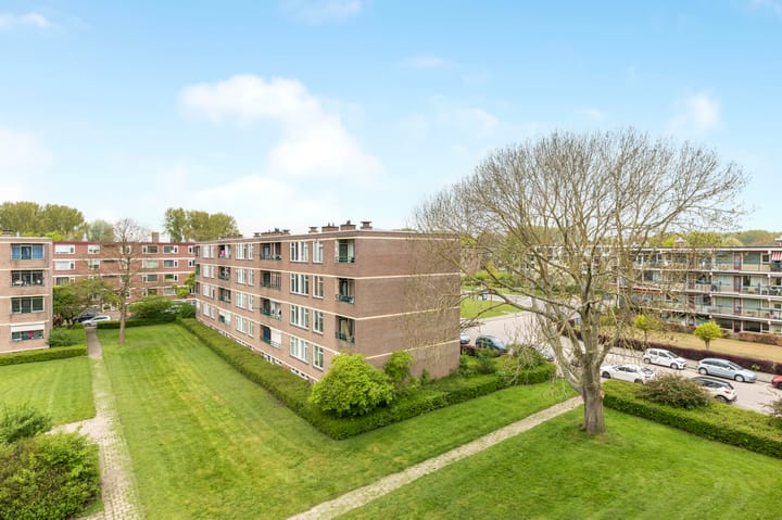 Foto 18 van Ruigoord 31