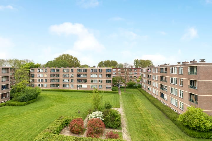 Foto 19 van Ruigoord 31