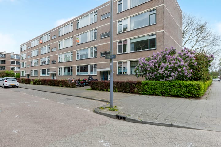 Foto 20 van Ruigoord 31