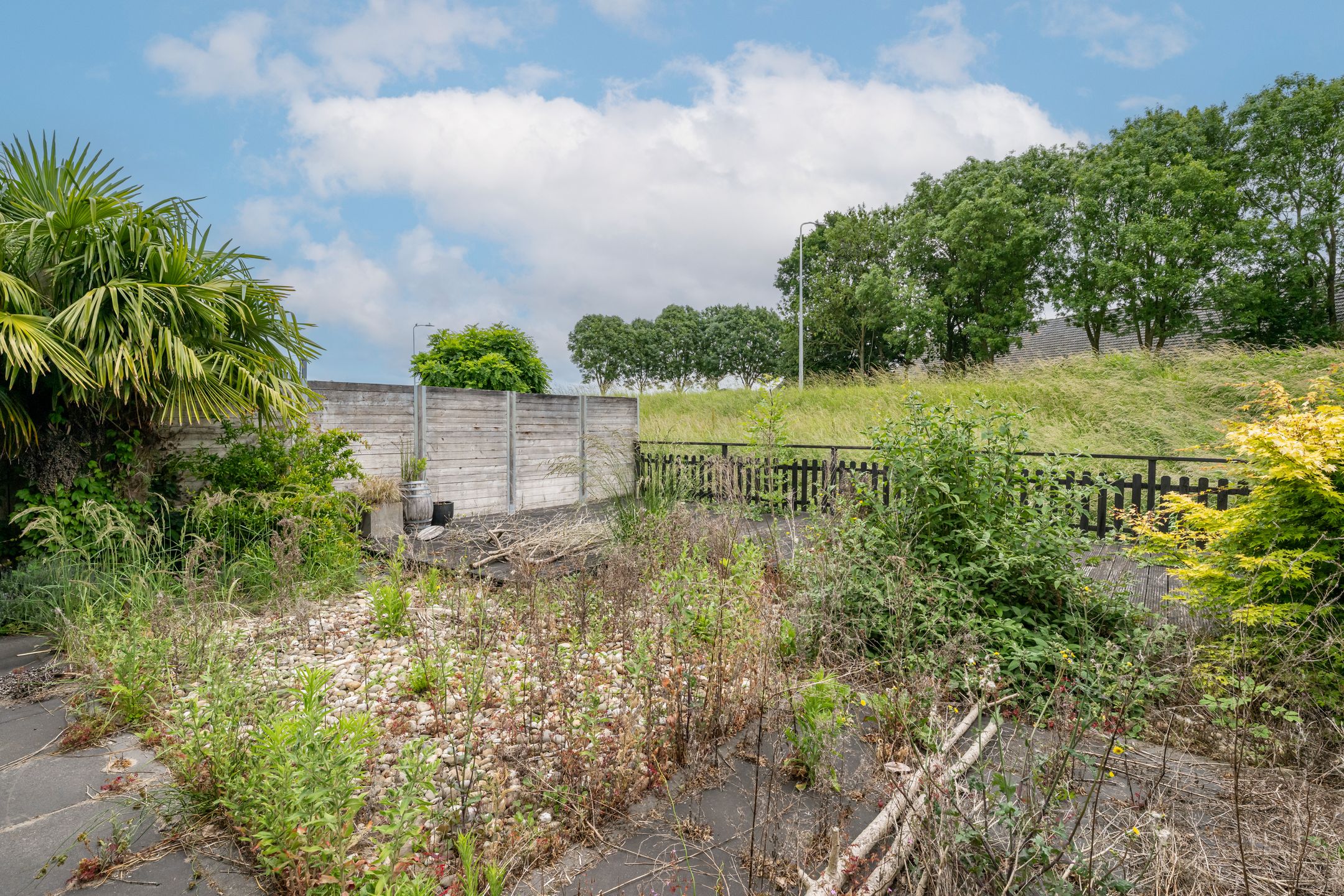 Foto 3 van Lauwerijnstraat 26