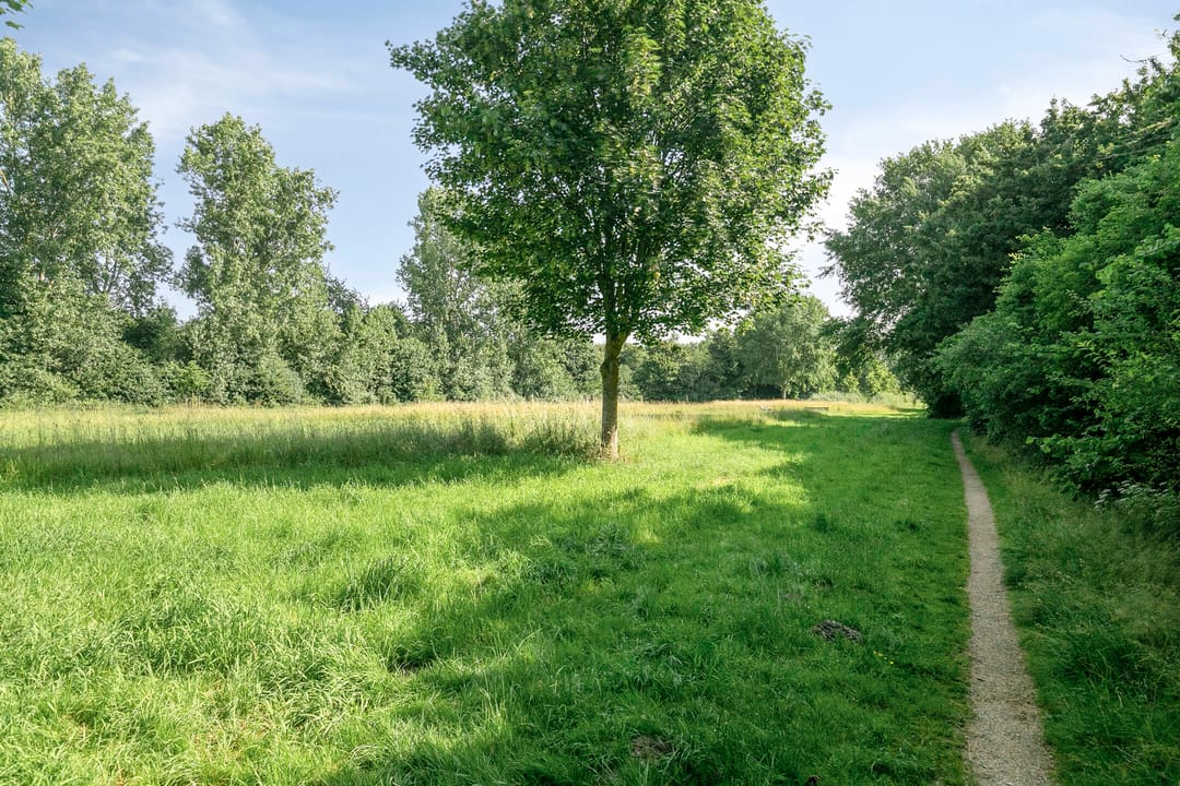 Photo 26 of B. Merkelbachstraat 28