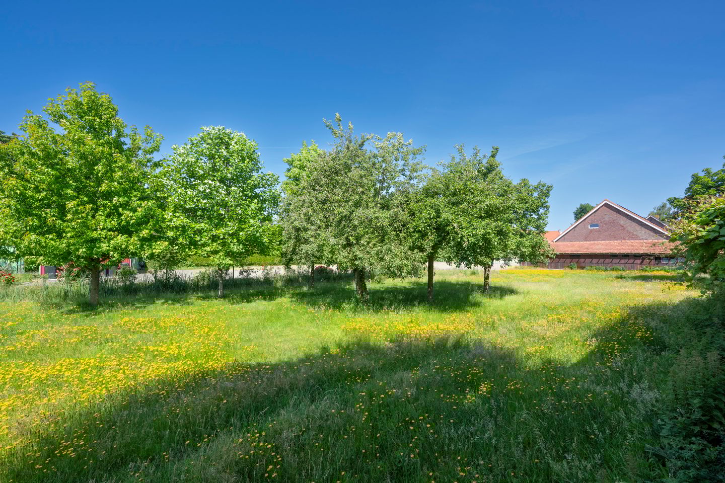 Foto 34 van Baardwijksestraat 14