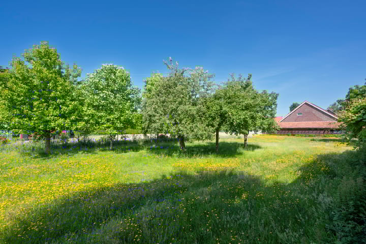 Photo 34 of Baardwijksestraat 14