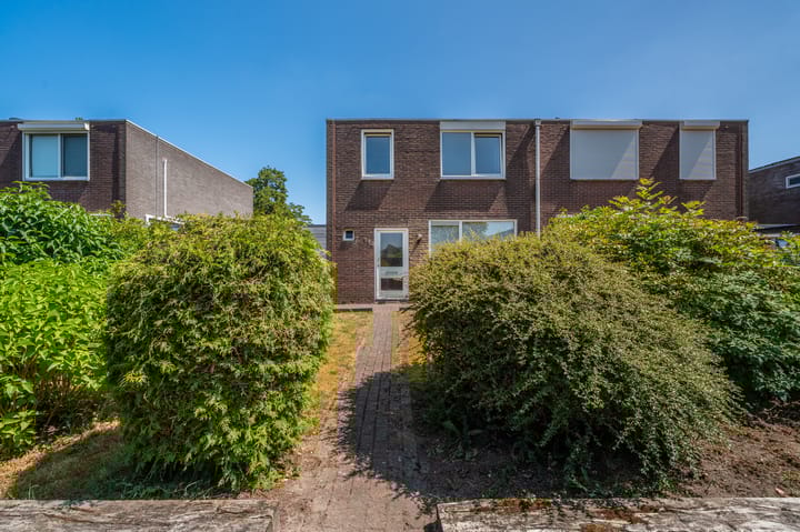 Foto 6 van Schorpioen 114