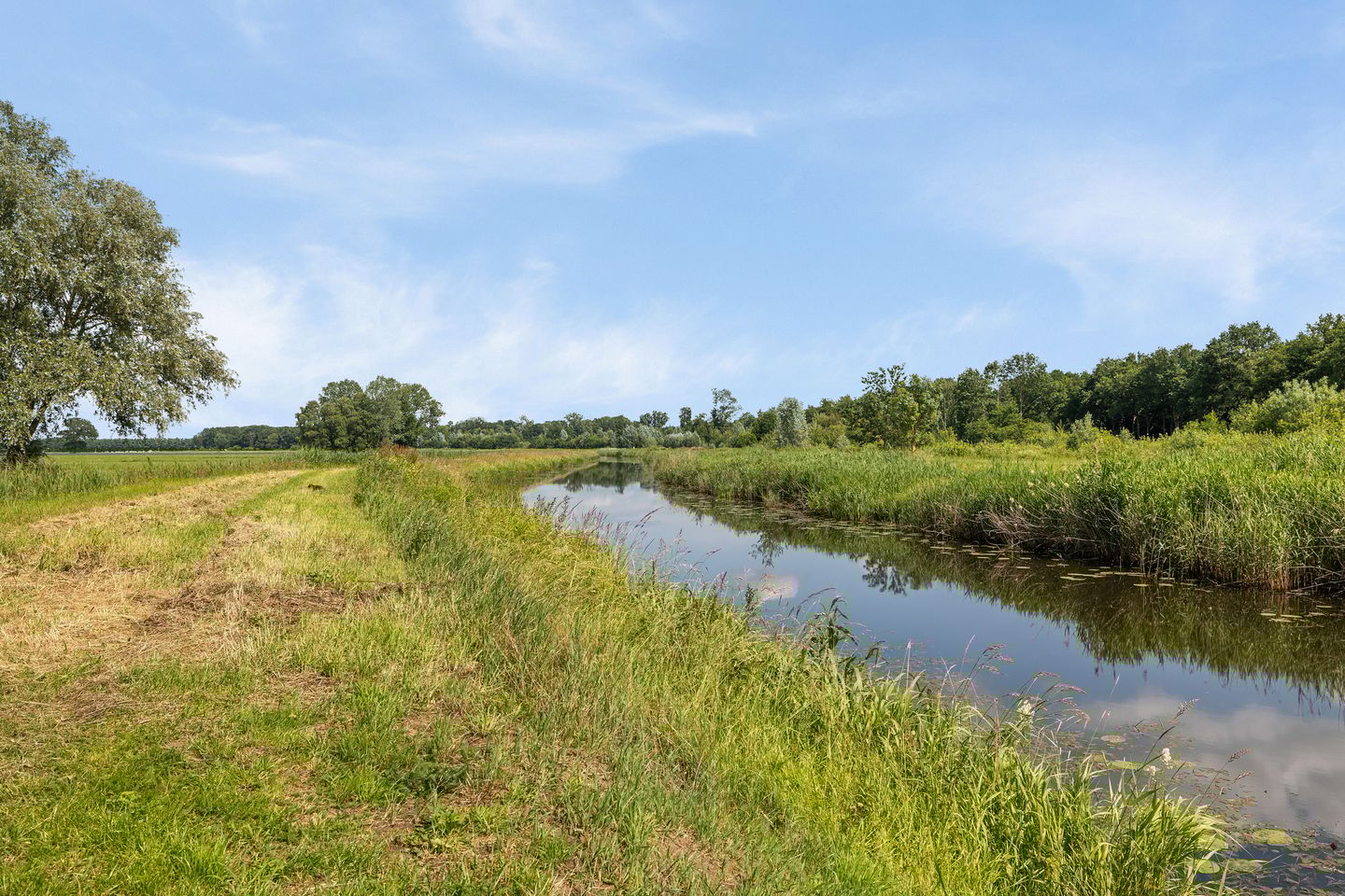 Foto 4 van Haakswold 39