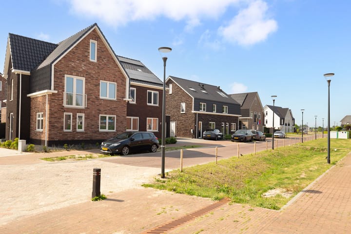 Foto 6 van Knotwilg 2