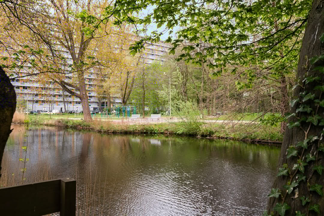 Foto 43 van Bellinilaan 26