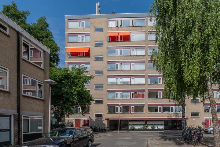 Foto 1 van Molengraaffplantsoen 28