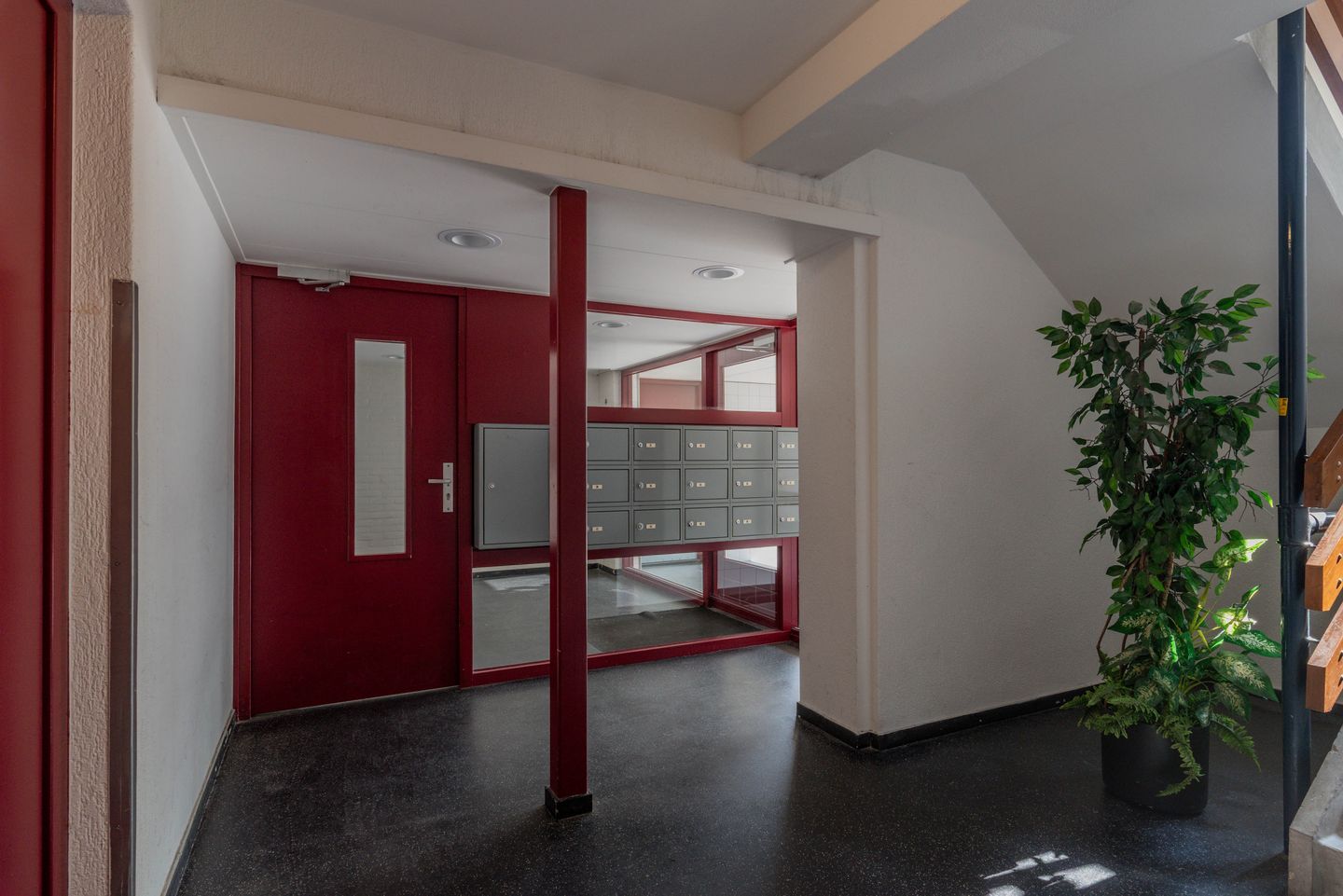 Foto 5 van Molengraaffplantsoen 28