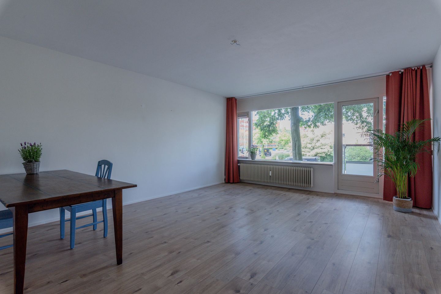 Foto 14 van Molengraaffplantsoen 28