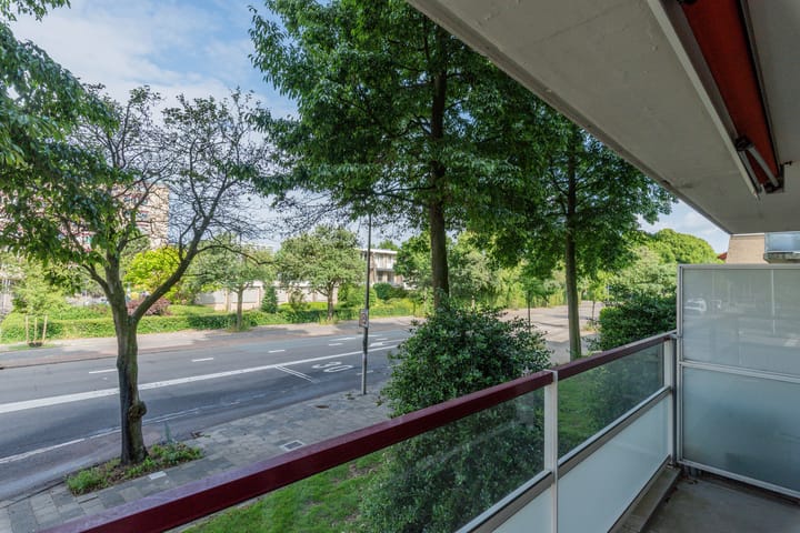 Foto 2 van Molengraaffplantsoen 28