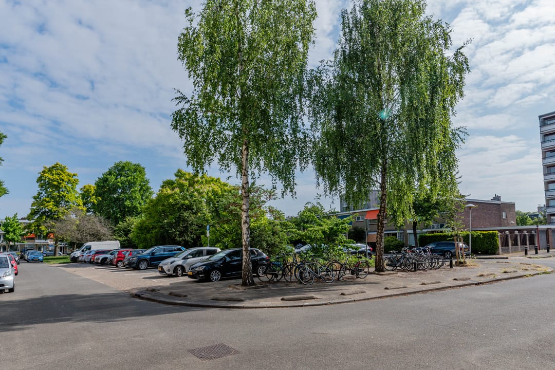 Foto 22 van Molengraaffplantsoen 28