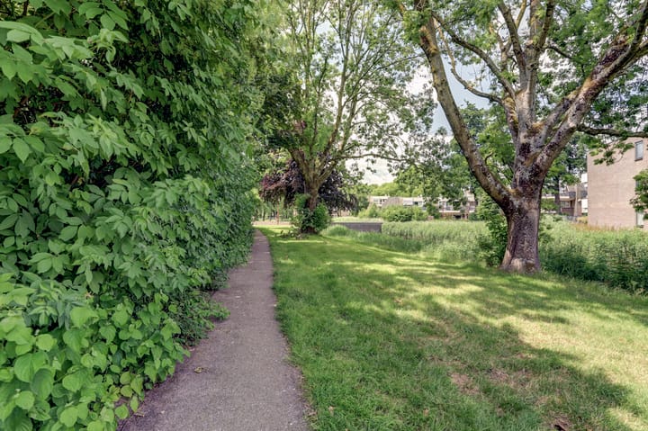 Photo 49 of Blijdeburg 18