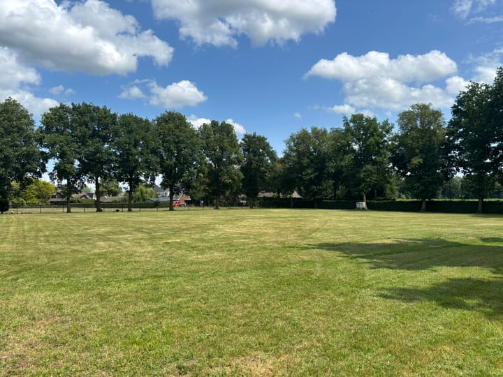 Photo 5 of Schutsboom 4