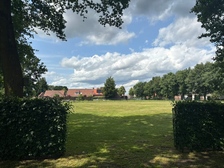 Foto 6 van Schutsboom 4