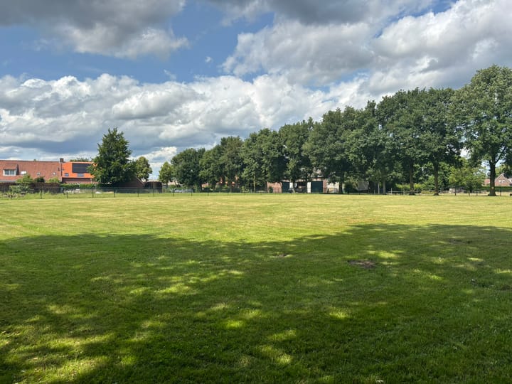 Foto 7 van Schutsboom 4