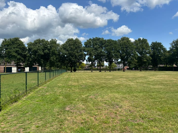 Foto 10 van Schutsboom 4