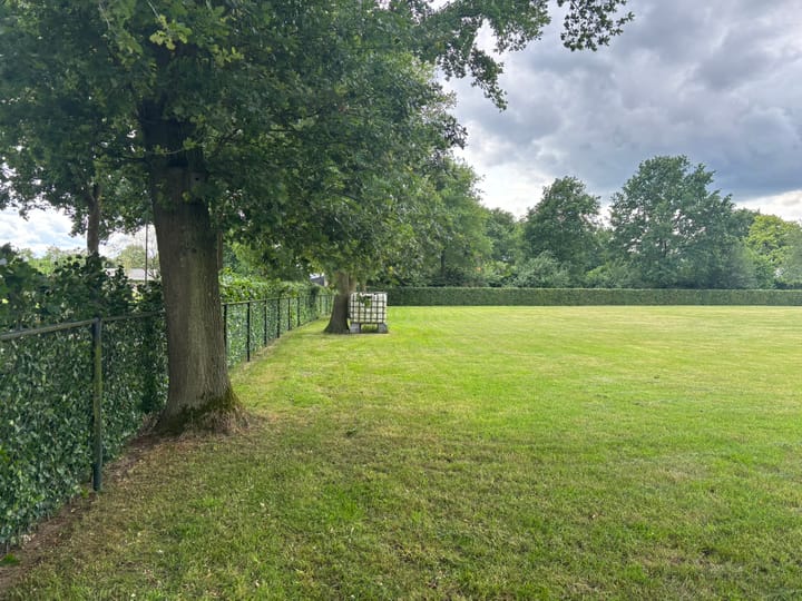 Photo 2 of Schutsboom 4