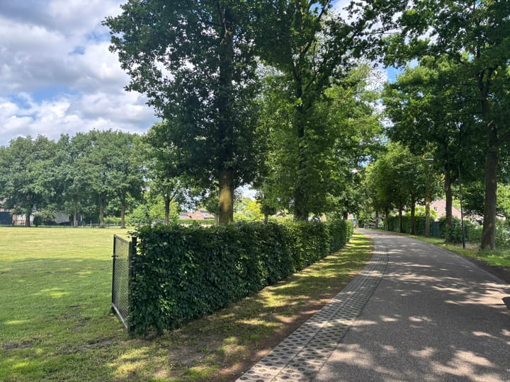 Foto 13 van Schutsboom 4