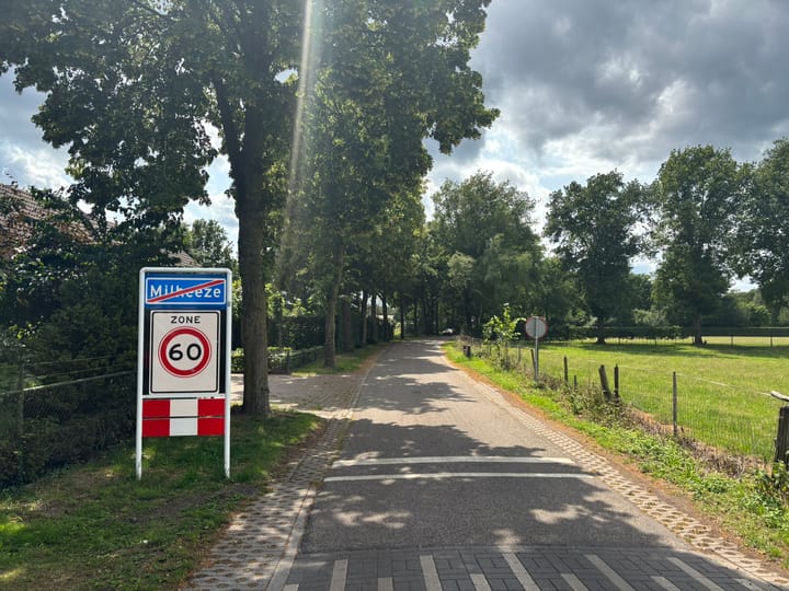 Foto 14 van Schutsboom 4