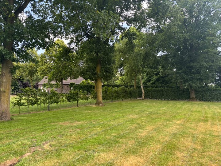 Foto 11 van Schutsboom 4