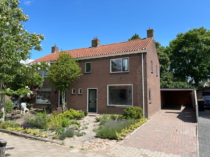 undefined main image