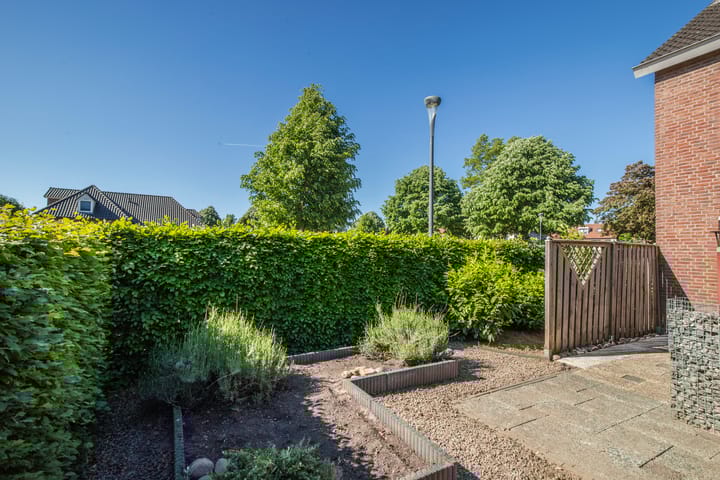 Foto 19 van de Els 2