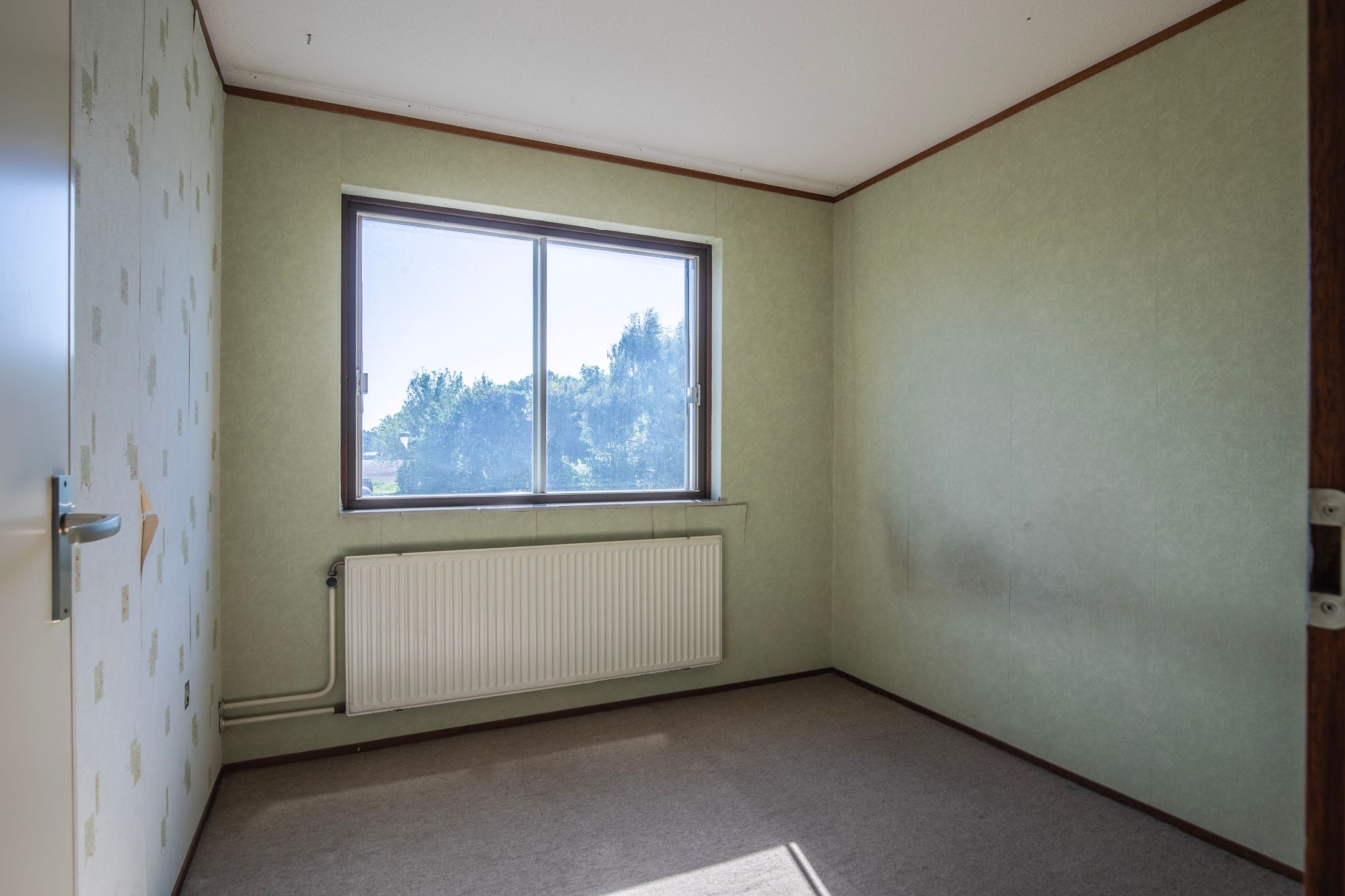 Foto 24 van de Els 2