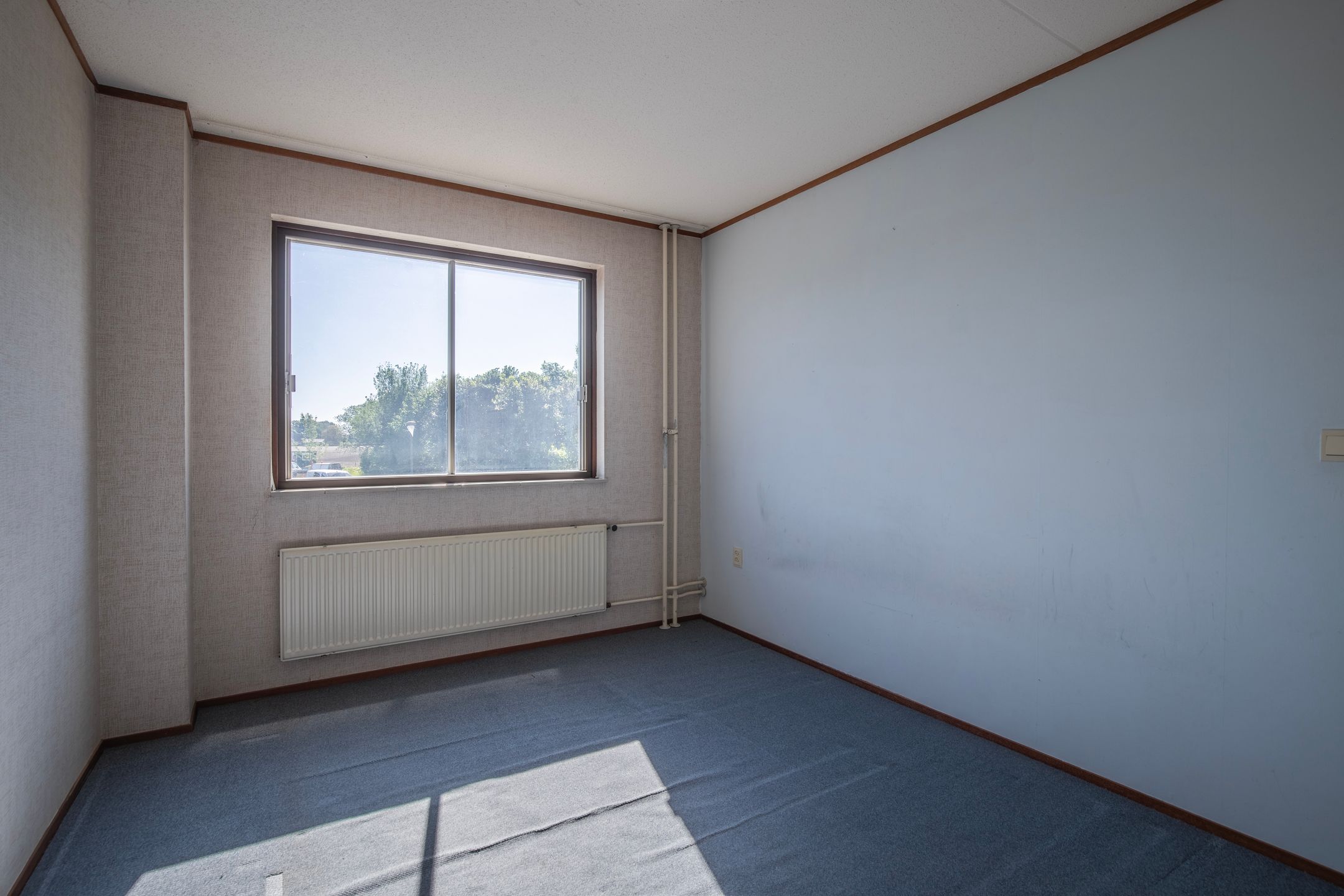 Foto 27 van de Els 2